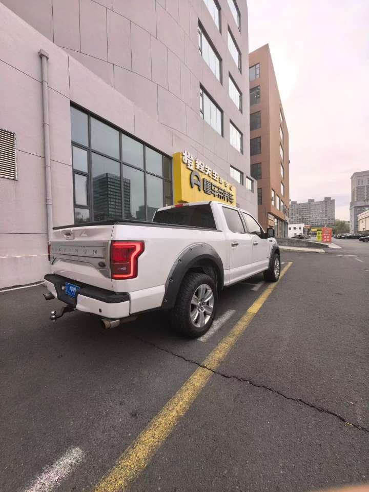 Ford F150 Platinum Edition 7