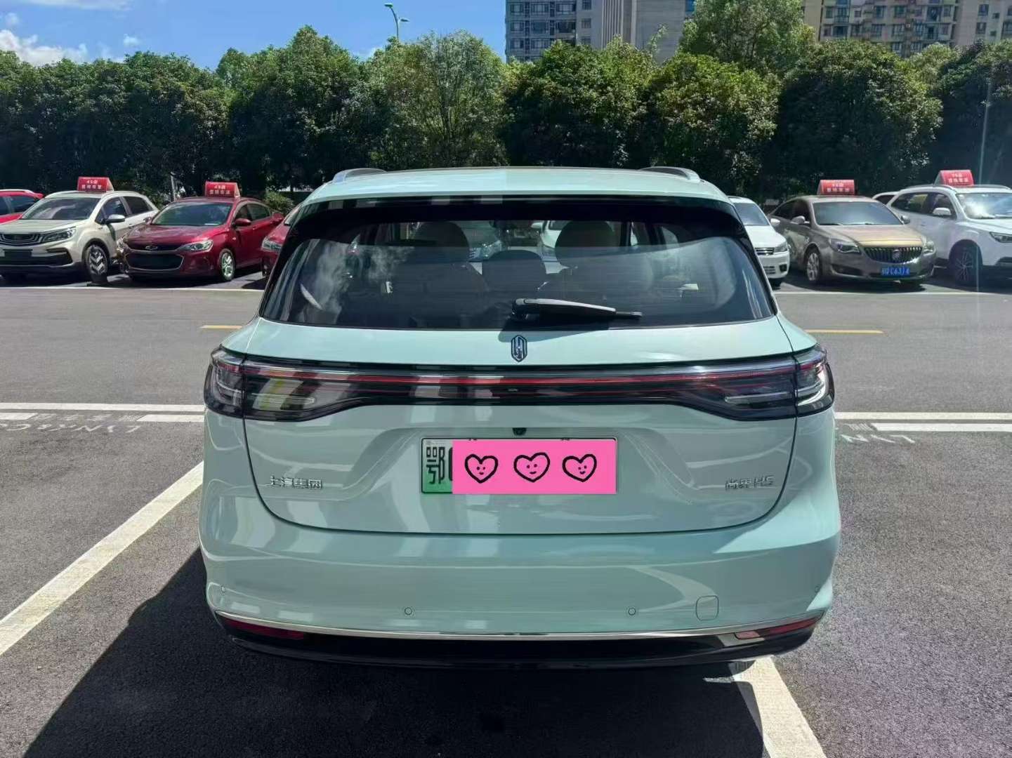 Shangjie H5 Range-extended Pro 4