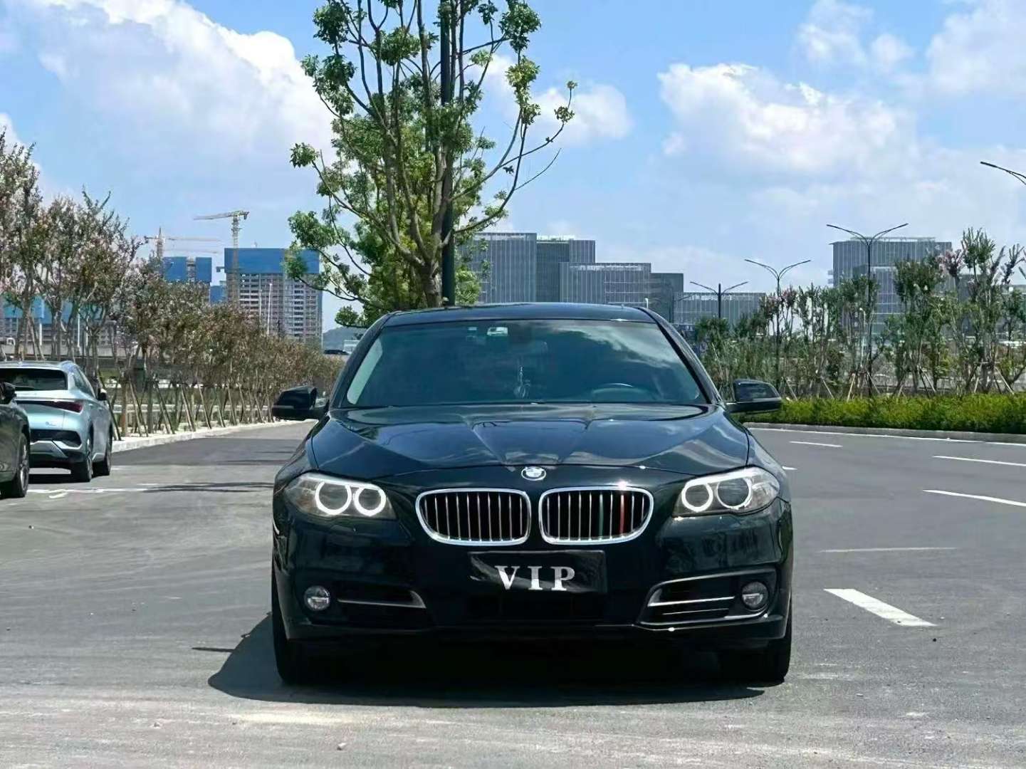 BMW 5 Series 525Li 2.0T Leading