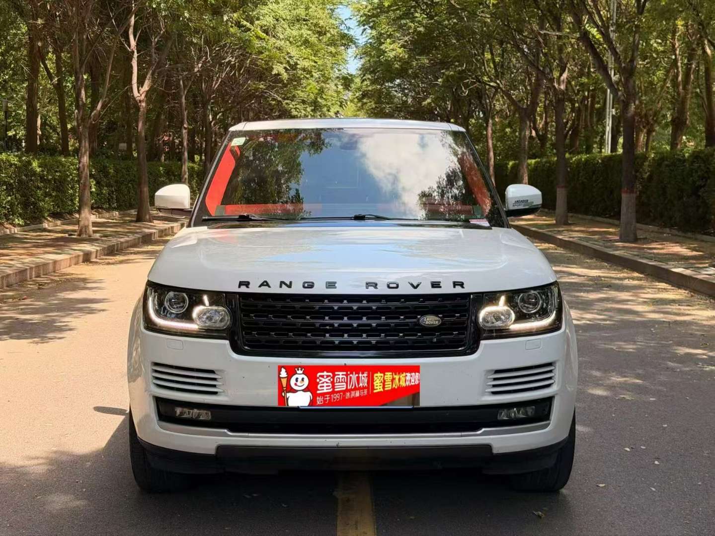 Land Rover Range Rover Executive 3.0T 2