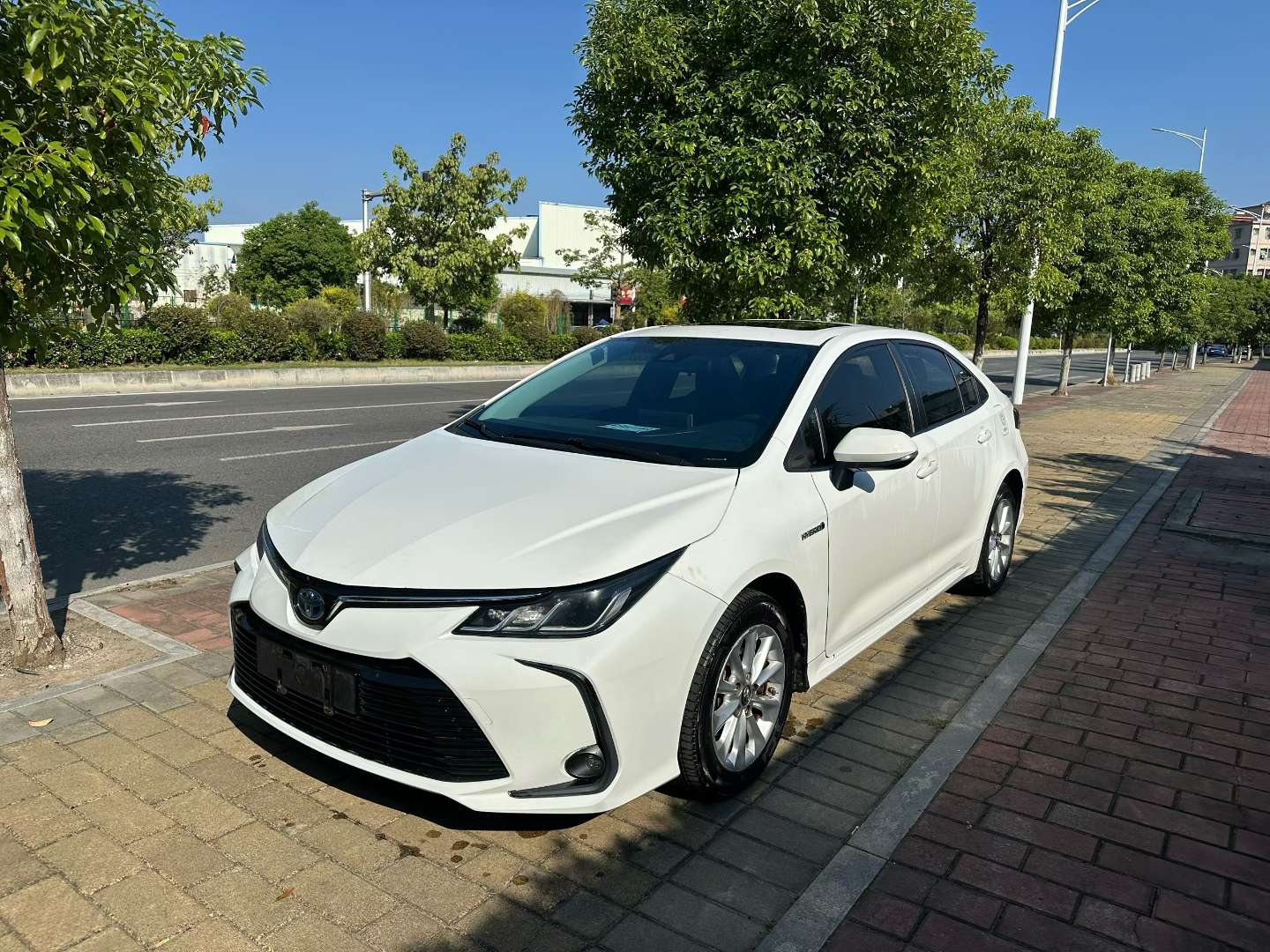 Toyota Corolla 2020 Hybrid 2
