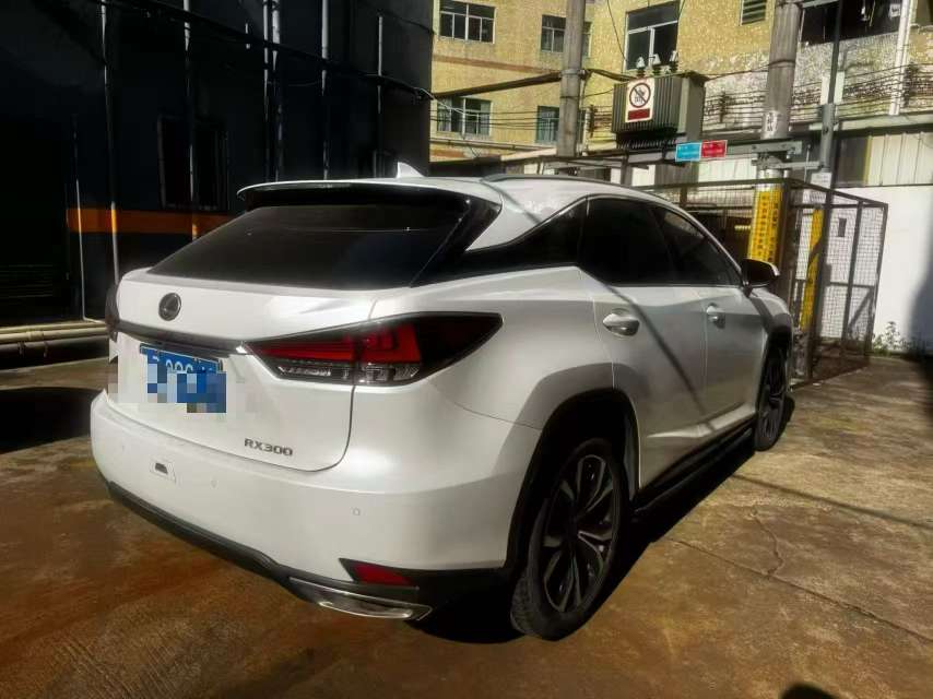 Lexus RX 2.0T AWD Special Edition