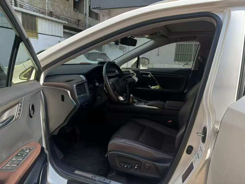 Lexus RX 2.0T AWD Special Edition 5
