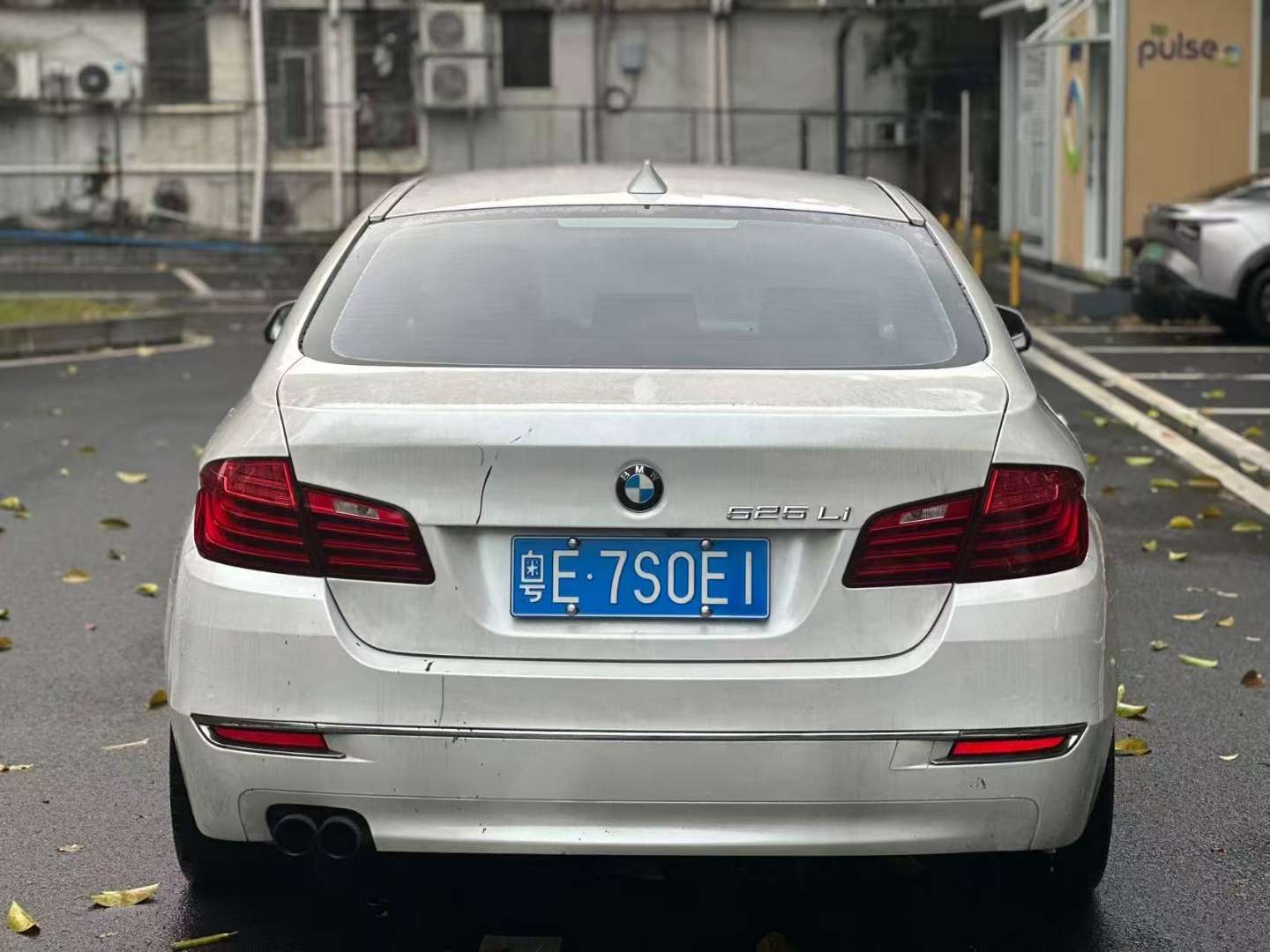 BMW 5 Series 2.0T Luxury Design Package 3