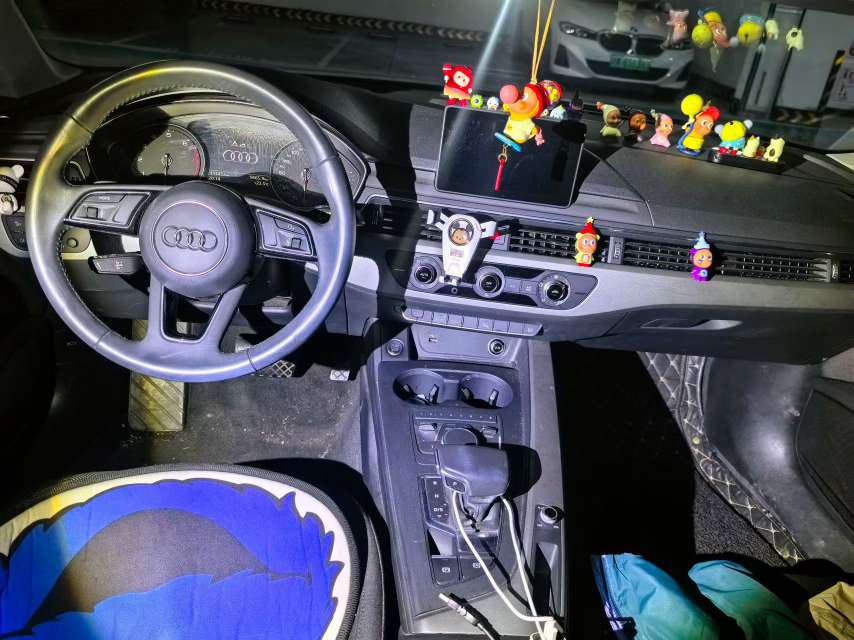 Audi A4L 2.0T Progress Edition 5