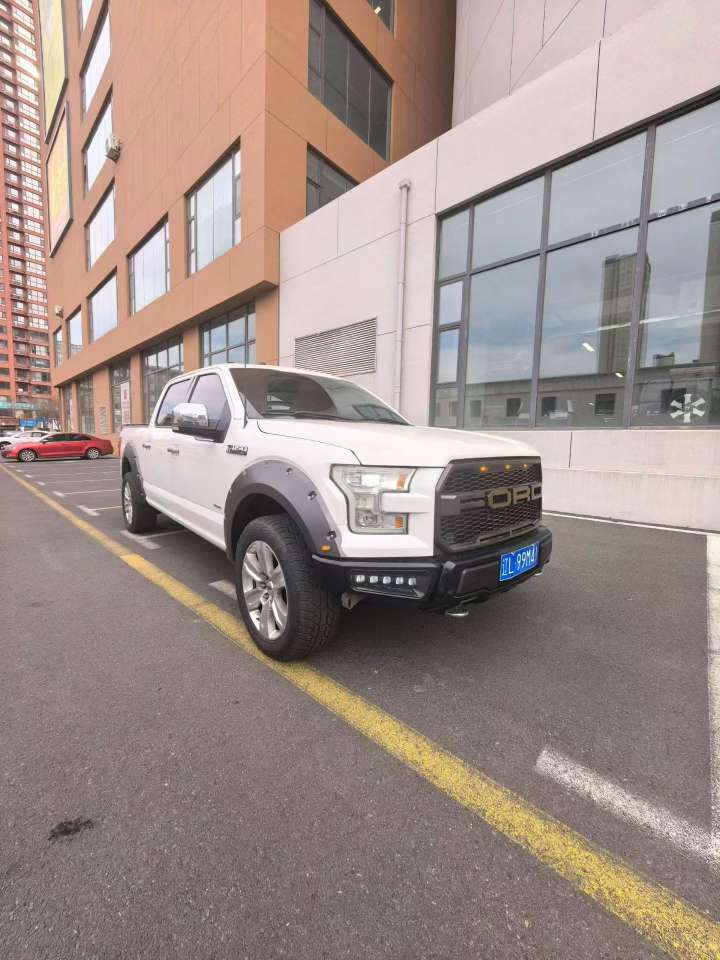 Ford F150 Platinum Edition 3