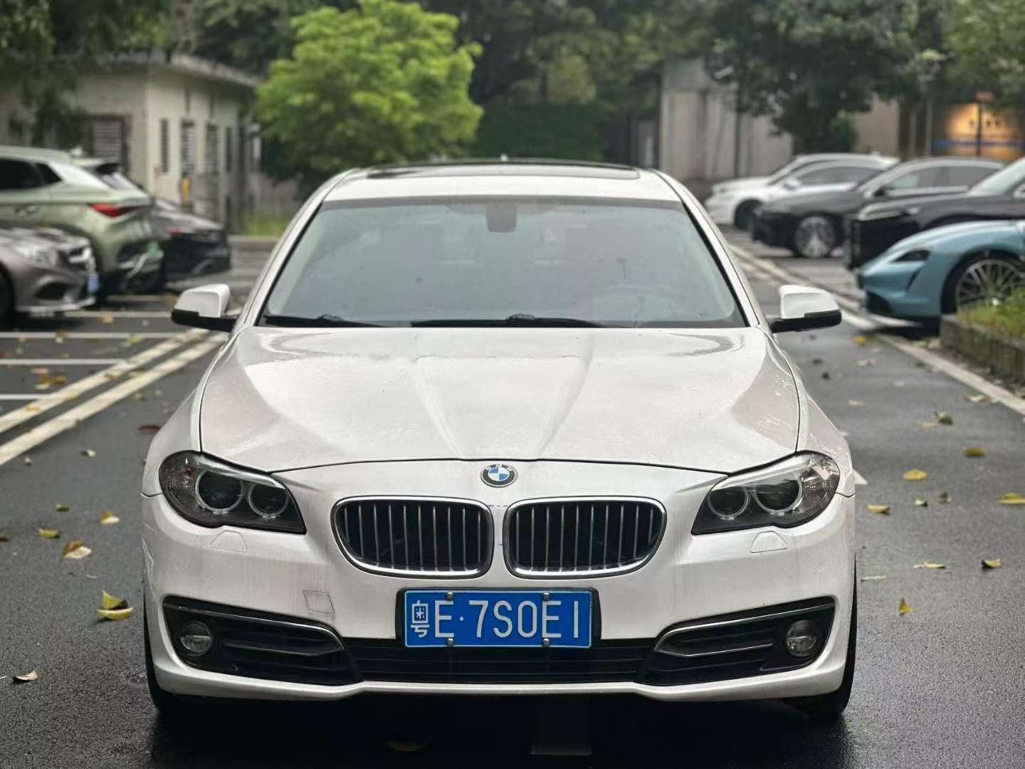 BMW 5 Series 2.0T Luxury Design Package 2