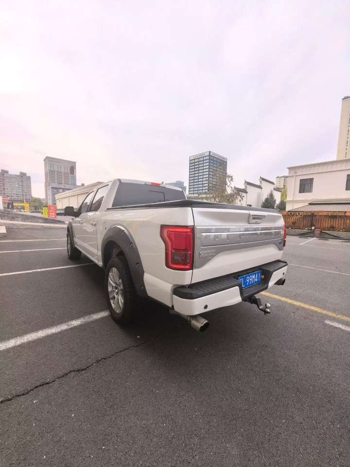 Ford F150 Platinum Edition 9