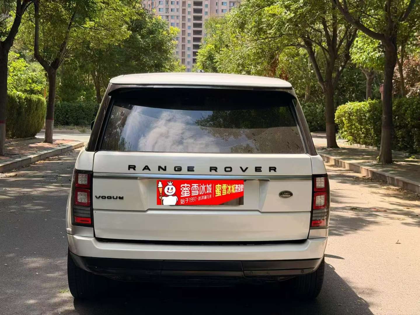 Land Rover Range Rover Executive 3.0T 5