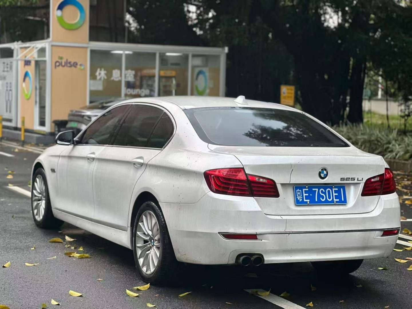 BMW 5 Series 2.0T Luxury Design Package 4