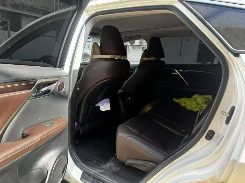 Lexus RX 2.0T AWD Special Edition 4