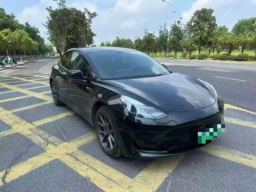 Tesla Model 3 2021 Standard Range