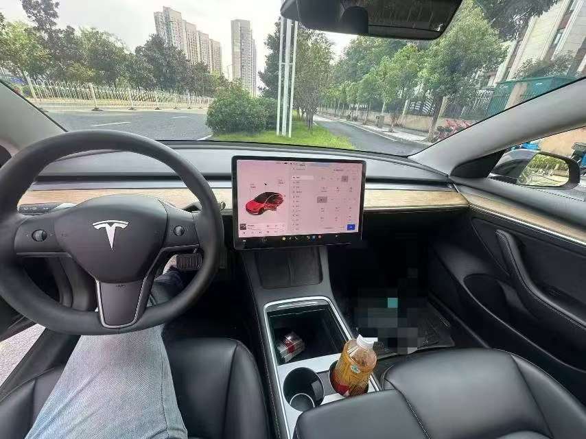 Tesla Model 3 2021 Standard Range 8