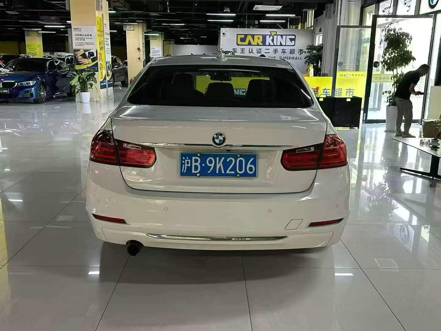 BMW 3 Series 2015 320Li Luxury Edition 6