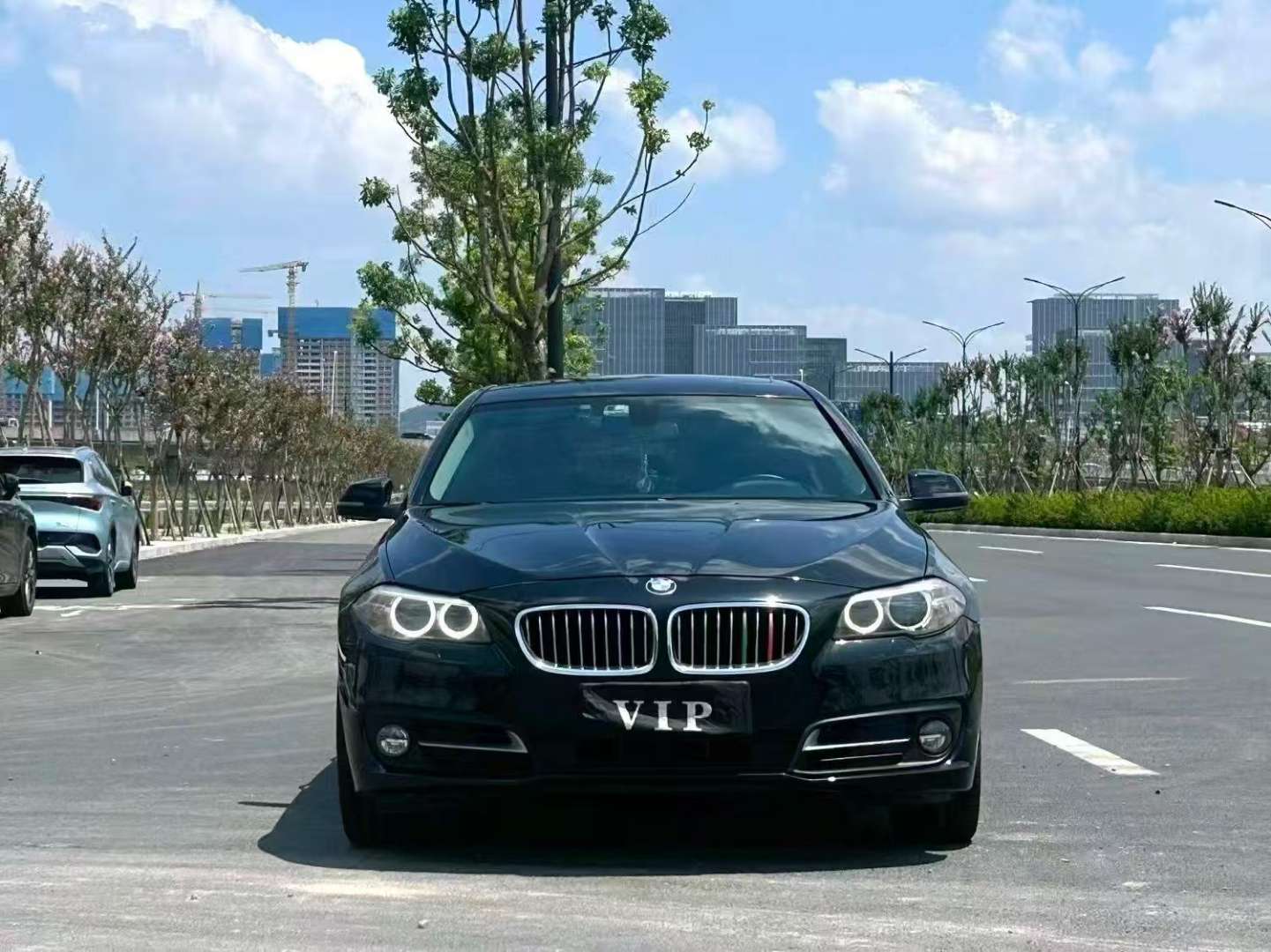 BMW 5 Series 525Li 2.0T Leading Edition