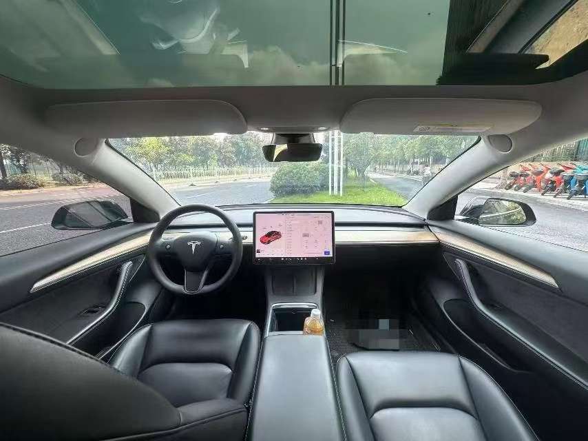 Tesla Model 3 2021 Standard Range 5