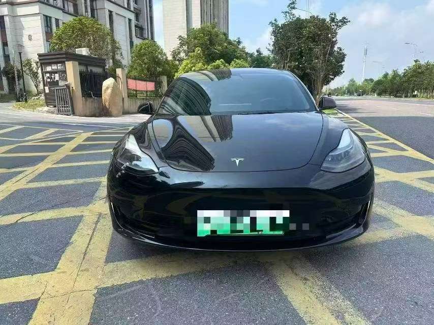 Tesla Model 3 2021 Standard Range 2