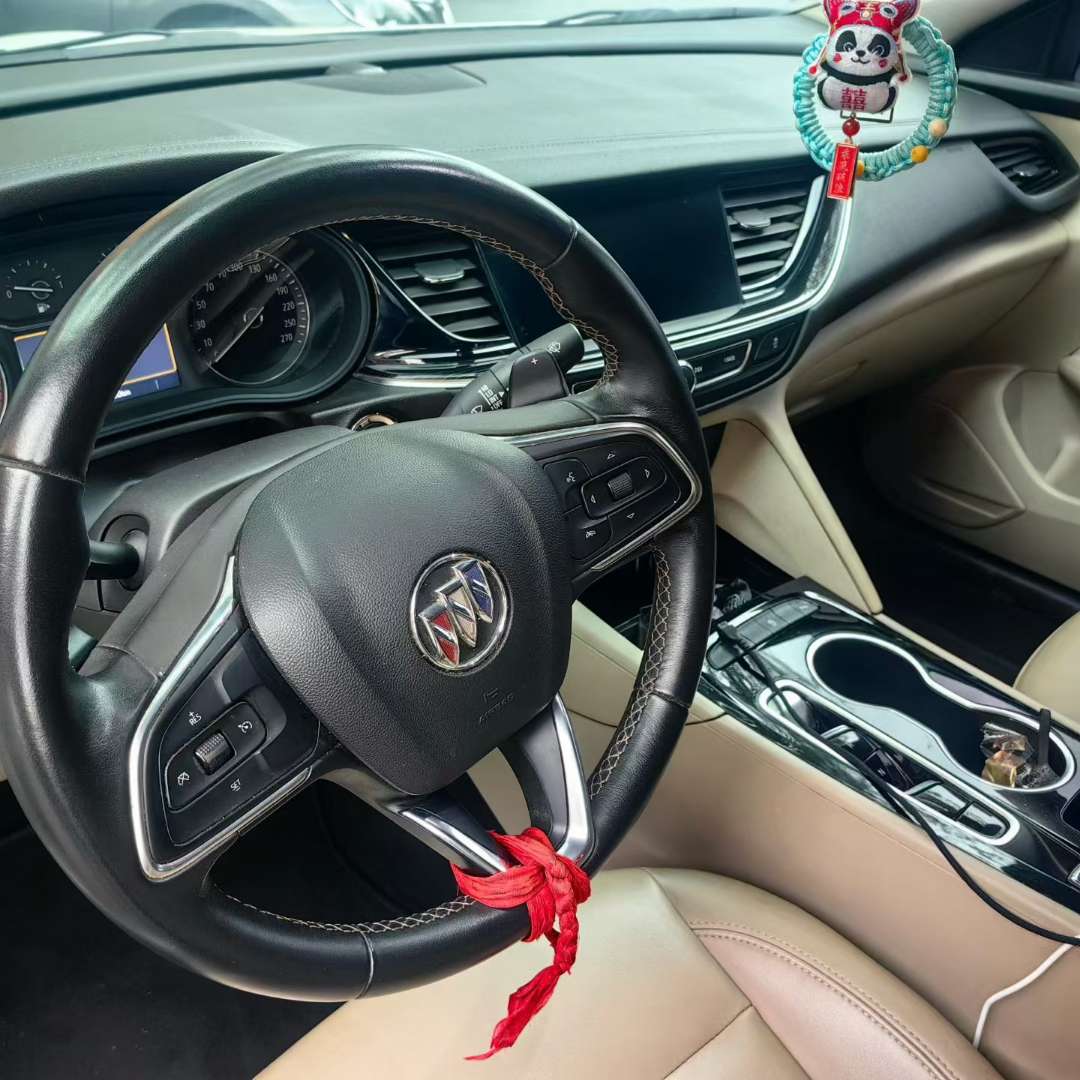 Buick Regal Elite Trim 5