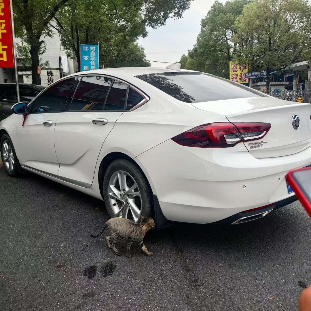 Buick Regal Elite Trim 7