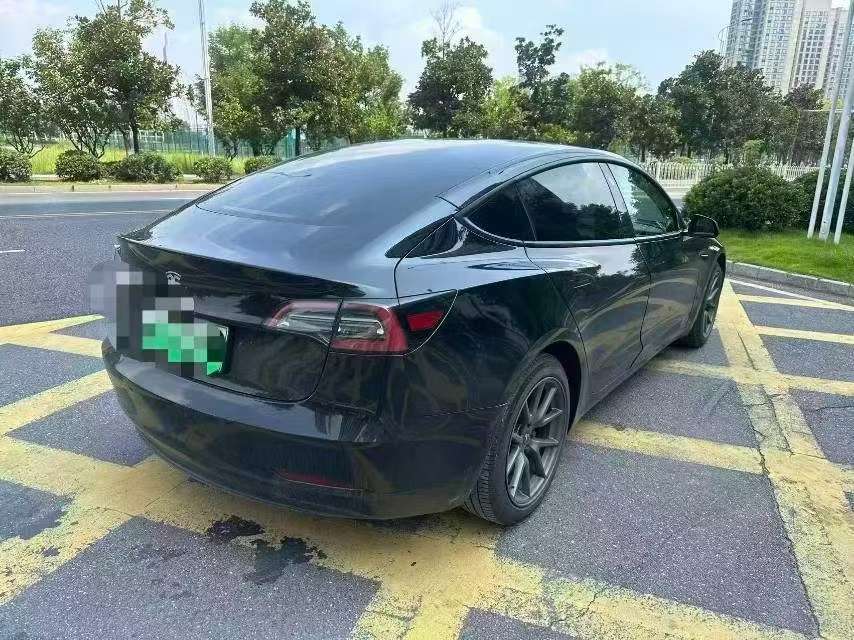 Tesla Model 3 2021 Standard Range 3