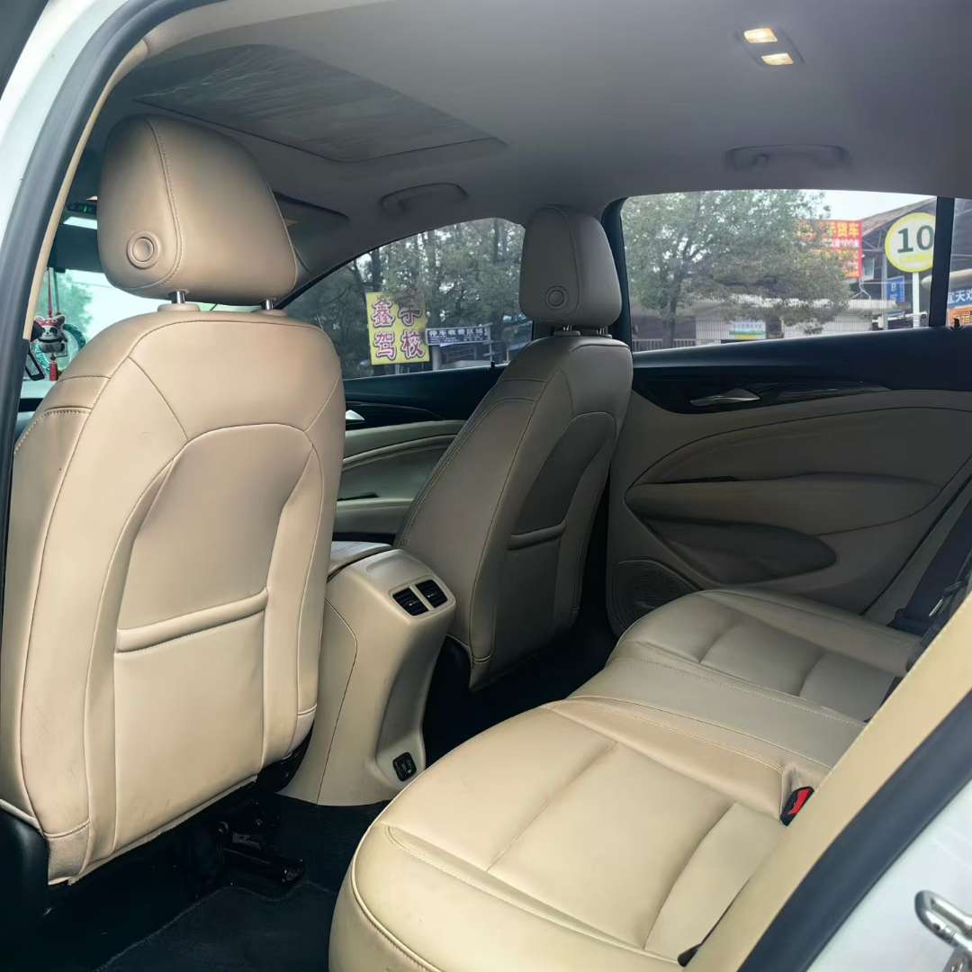 Buick Regal Elite Trim 6