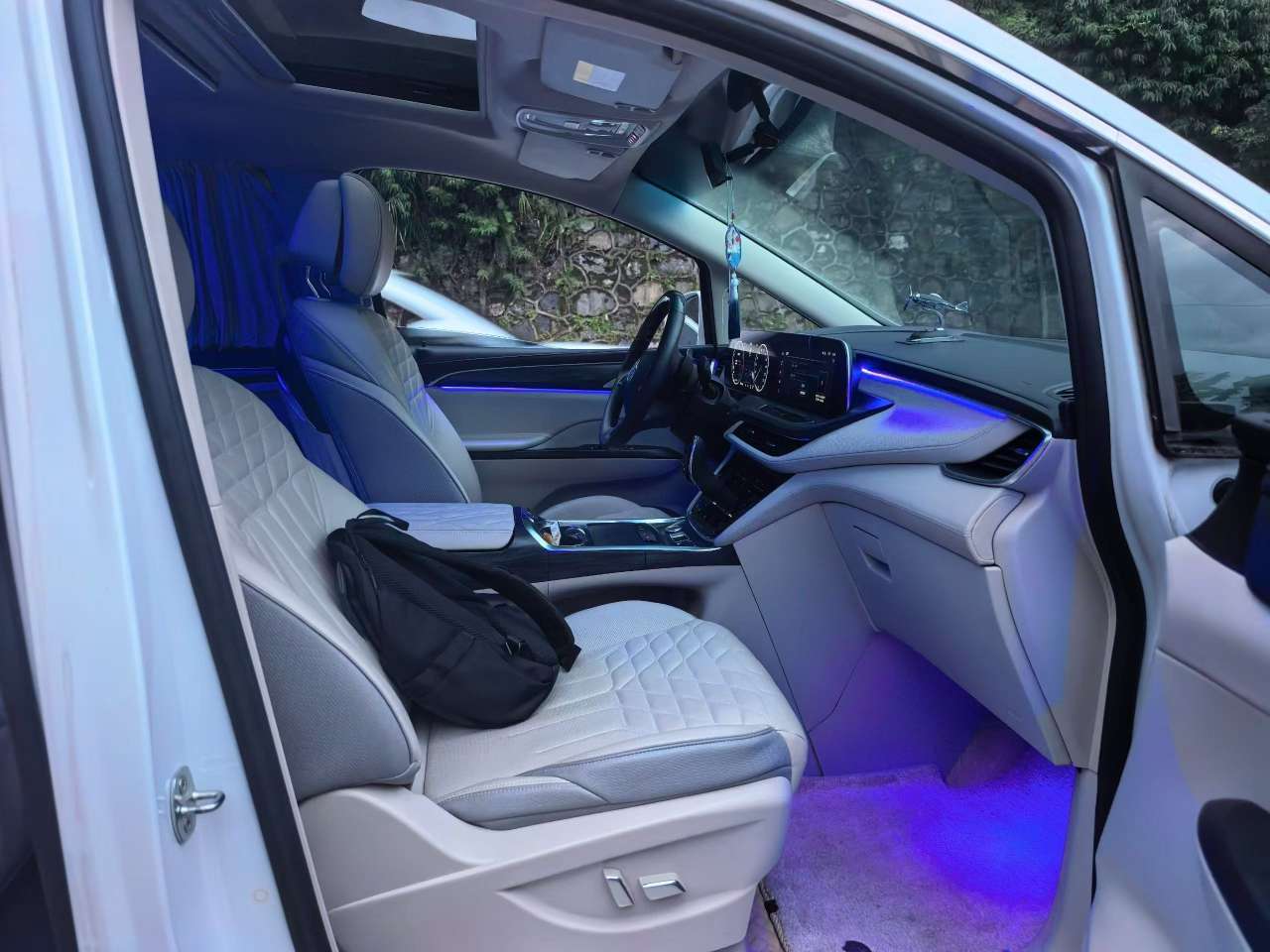 Buick GL8 ES Lu Zun 653 Luxury 5
