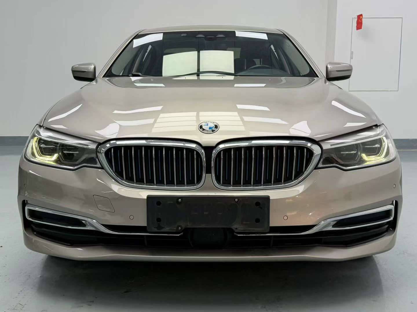 BMW 5 Series 530Le 2