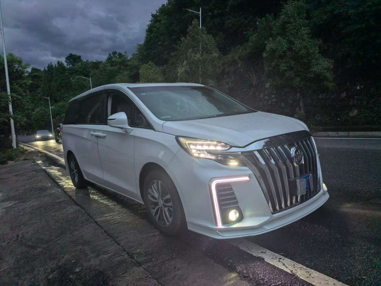 Buick GL8 ES Lu Zun 653 Luxury 3
