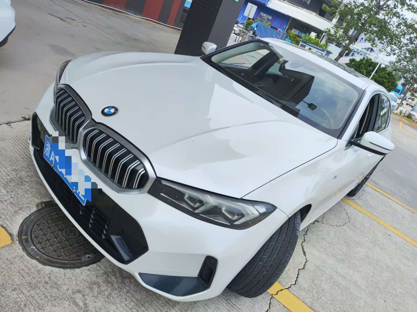 BMW 3 Series 320Li