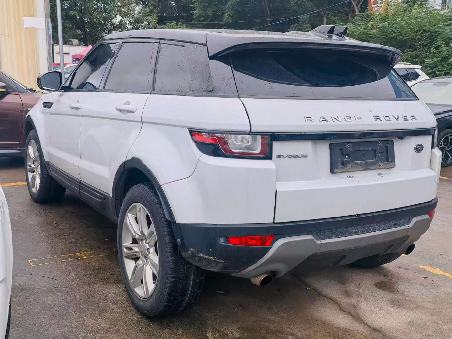 Land Rover Range Rover Evoque 2017 2.0T SE PLUS Executive Edition 6