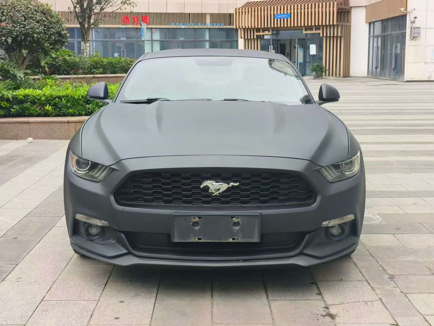 Ford Mustang 2015 2.3T 50th Anniversary Edition 2