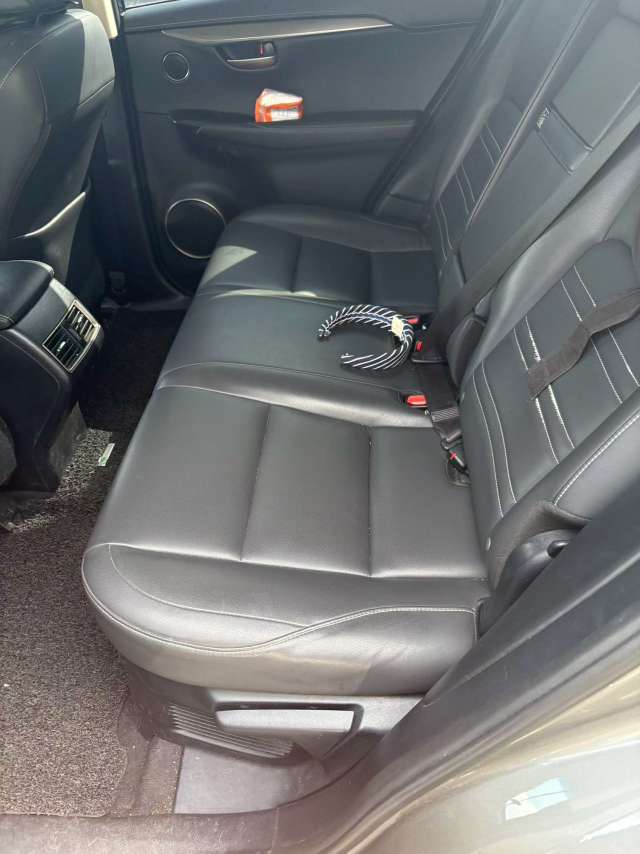 Lexus NX 2.0T AWD Premium 6