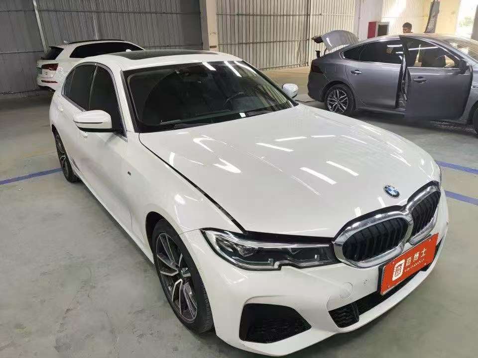 BMW 3 Series 320Li 2.0T M Sport Package 2