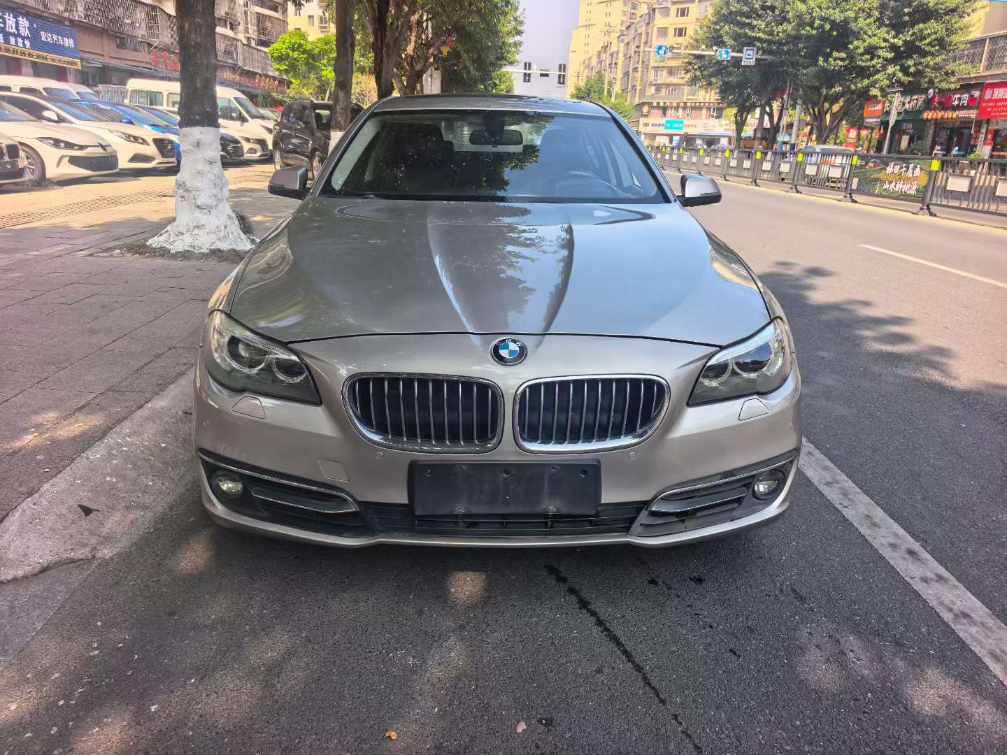 BMW 5 Series 525Li Leading