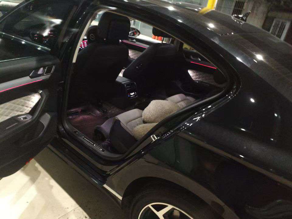 Volkswagen Magotan 330 Luxury Edition 5