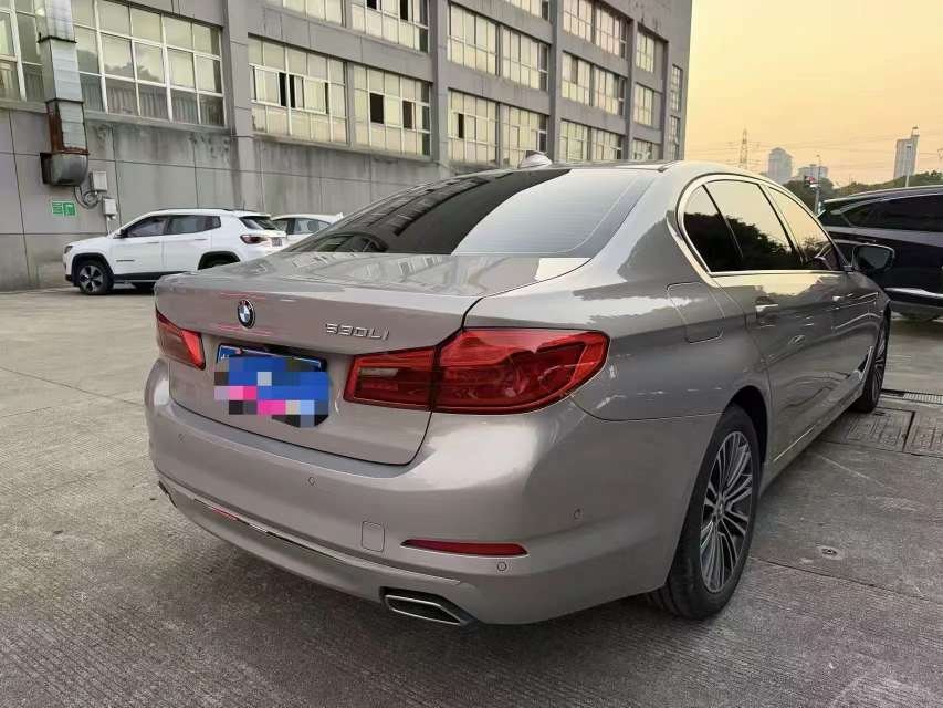 BMW 5 Series 530Li Premium 3