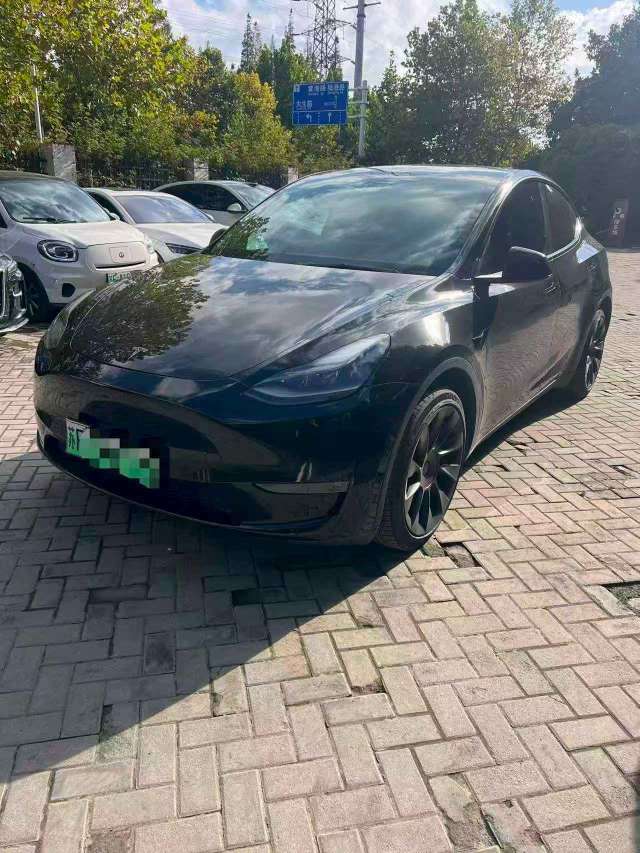 Tesla Model Y 2021 Long Range All-Wheel Drive Edition