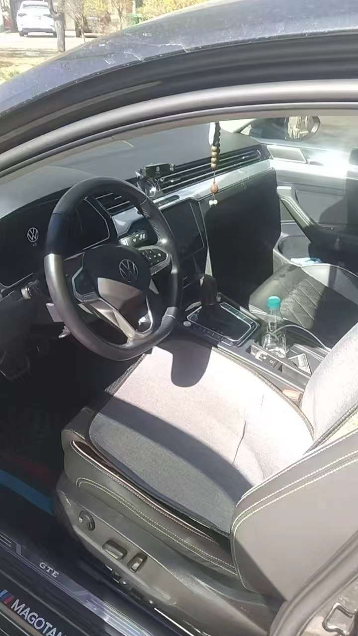 Volkswagen Magotan 2024 New Energy GTE Luxury 2