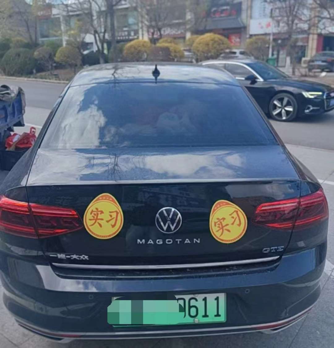 Volkswagen Magotan 2024 New Energy GTE Luxury 3