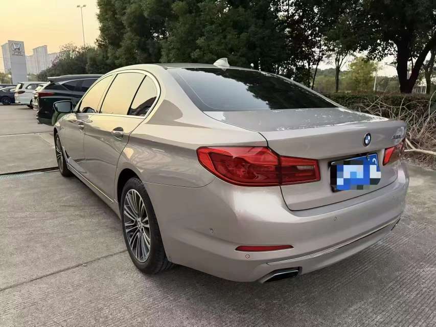 BMW 5 Series 530Li Premium 4