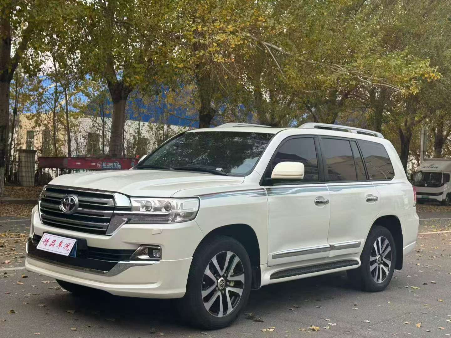Toyota Land Cruiser 2009 4.7L V8 3