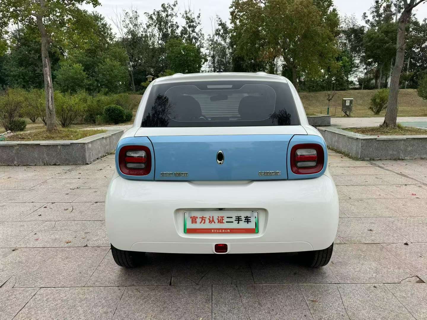ORA Black Cat 8
