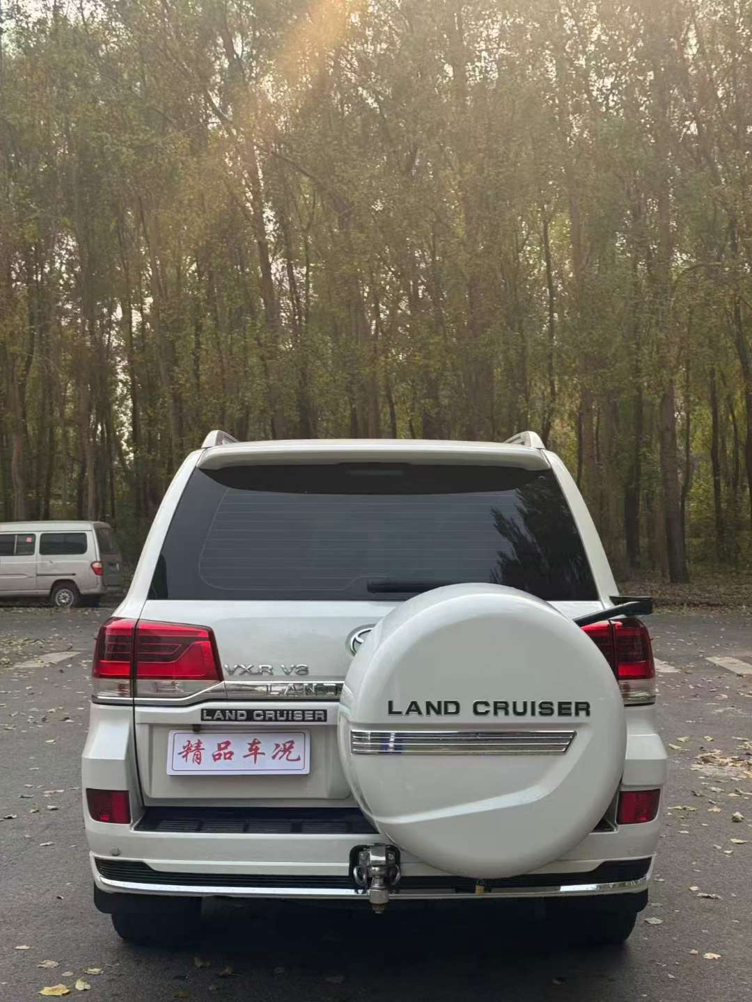 Toyota Land Cruiser 2009 4.7L V8 4