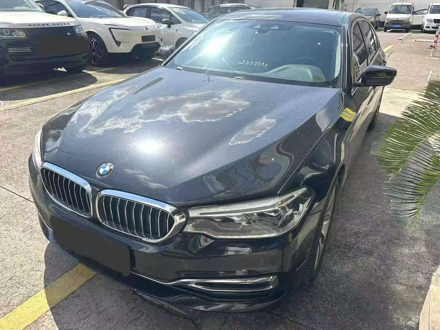 BMW 5 Series 530Le 2.0T Luxury 2