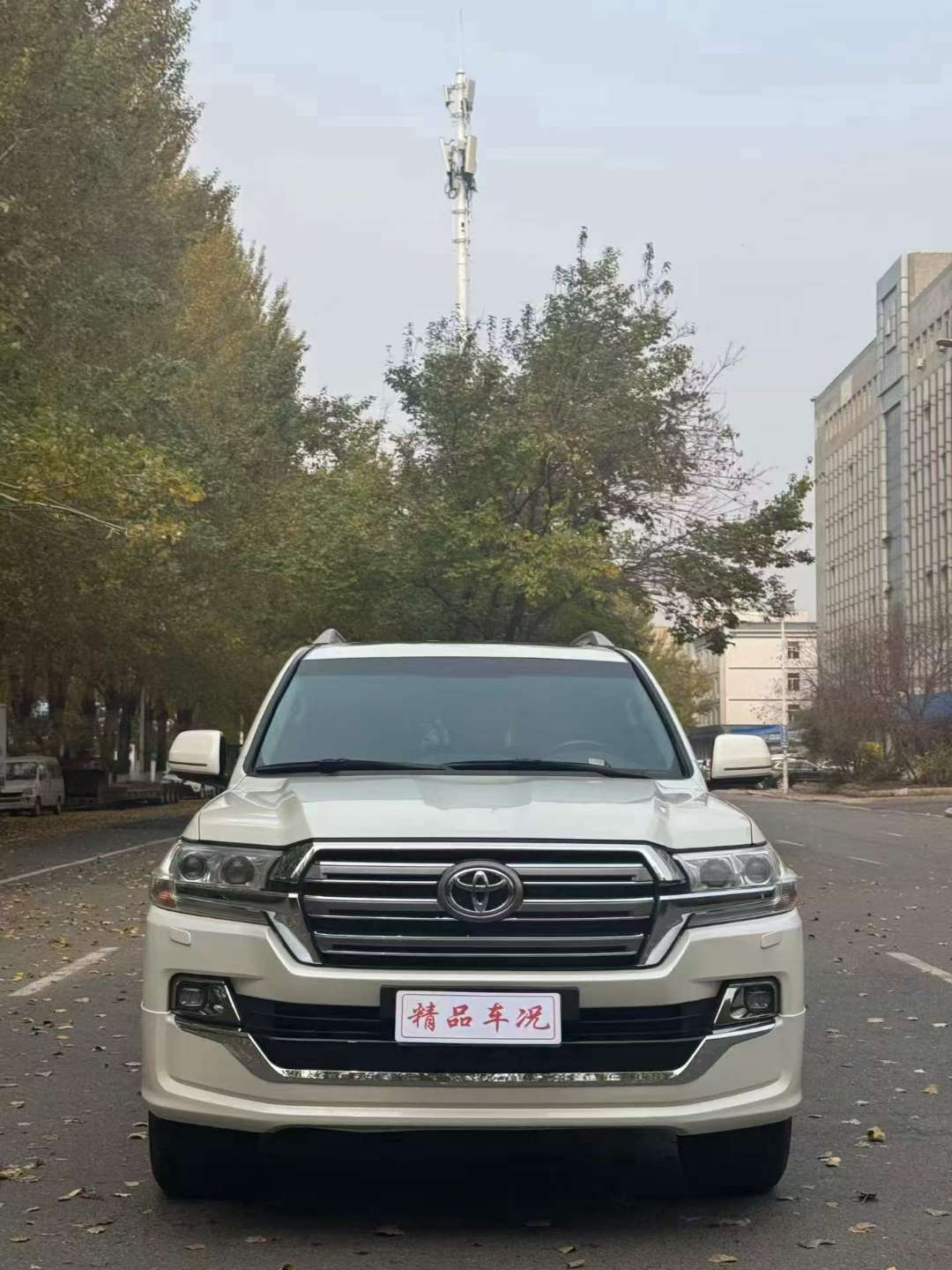 Toyota Land Cruiser 2009 4.7L V8