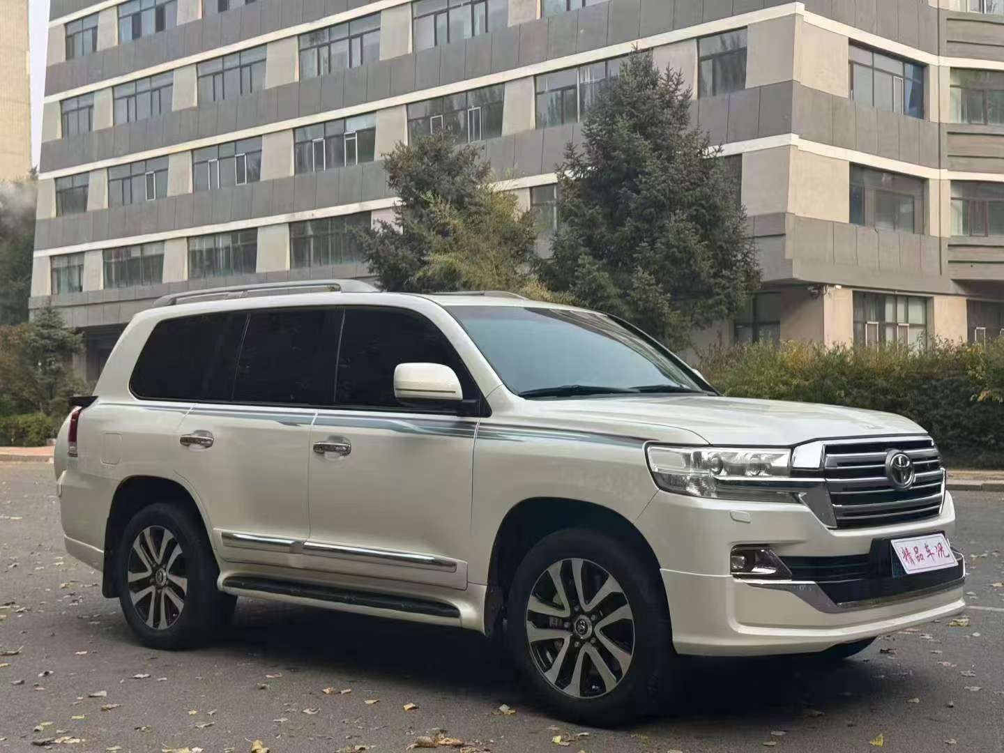 Toyota Land Cruiser 2009 4.7L V8 2
