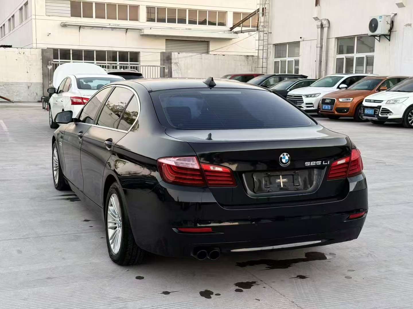 BMW 5 Series 2.0T Automatic 525Li 9