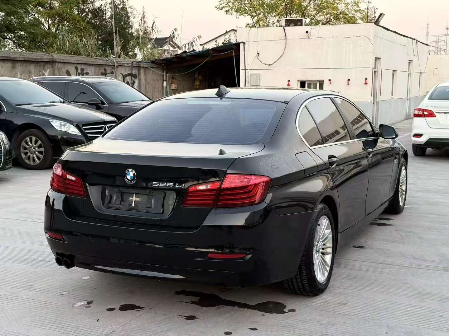 BMW 5 Series 2.0T Automatic 525Li 7