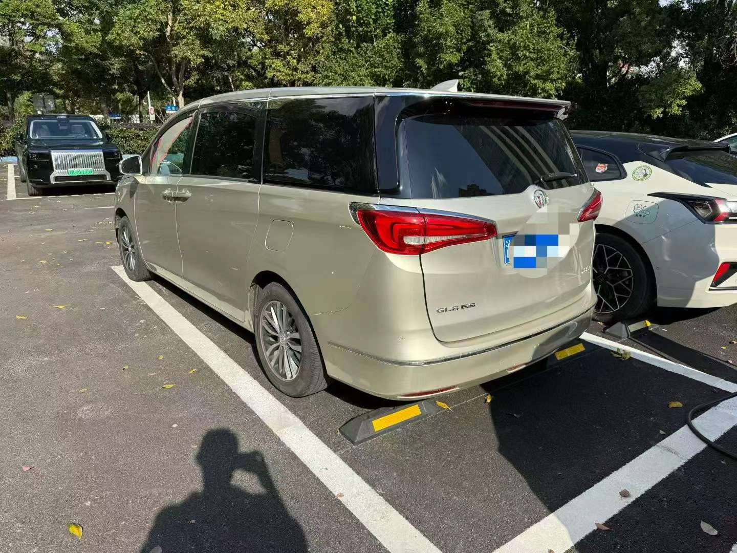 Buick GL8 2017 ES Luxury 4