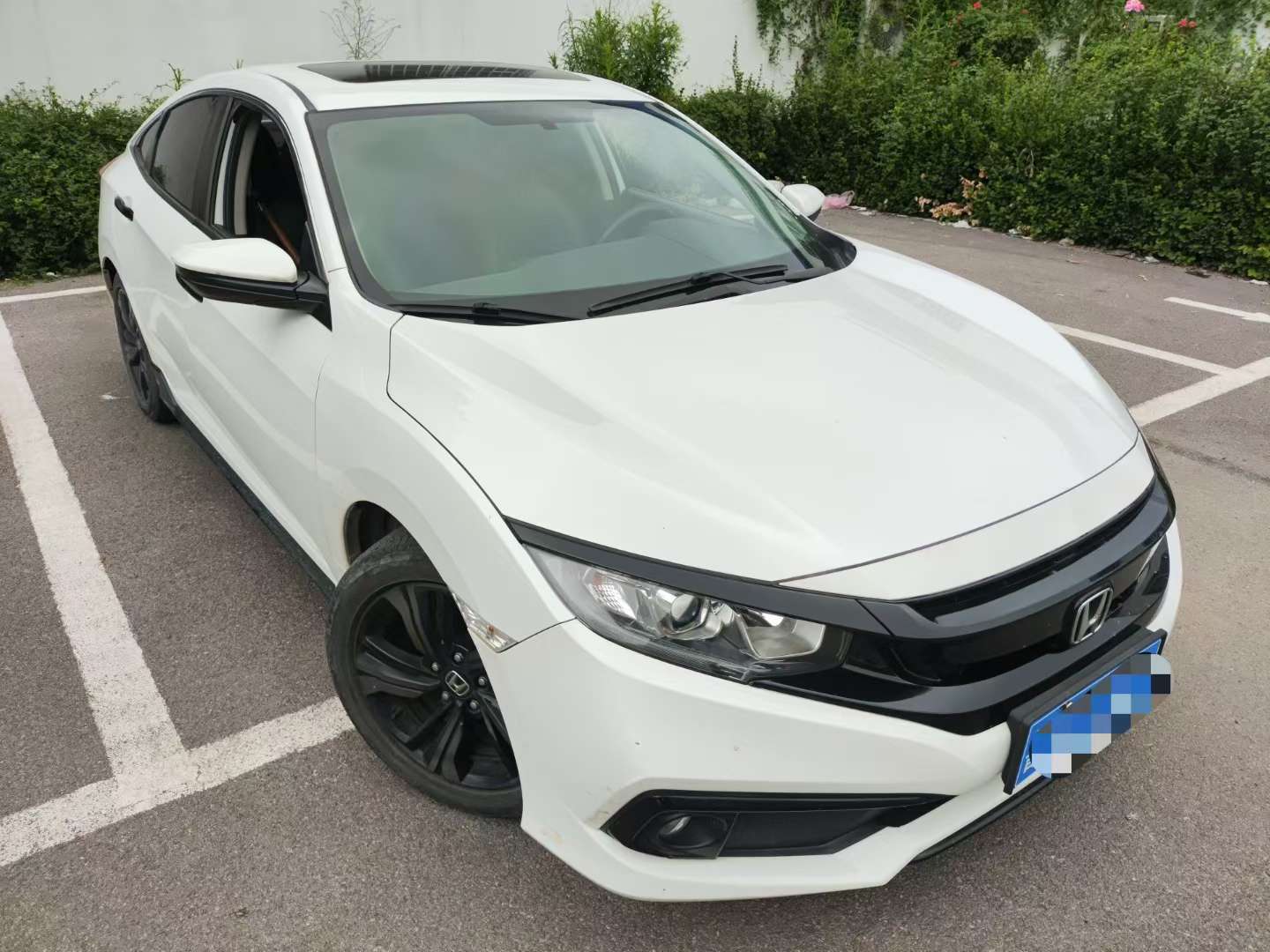Honda Civic Dynamic Edition